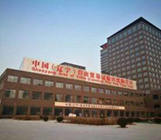 阿拉善盟政府科研院所項目翻譯